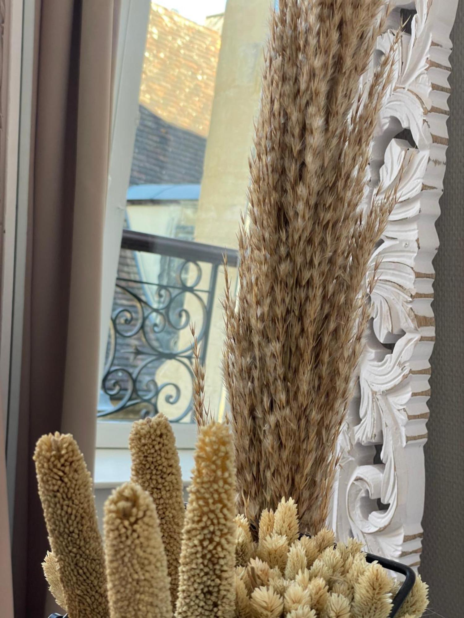 Au Coeur Du Centre Historique De Sarlat Apartment Екстериор снимка